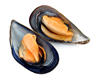 Mejillones